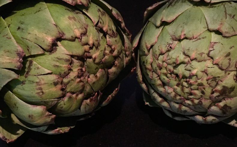 Why Globe Artichokes Are The Nutritional Bomb!